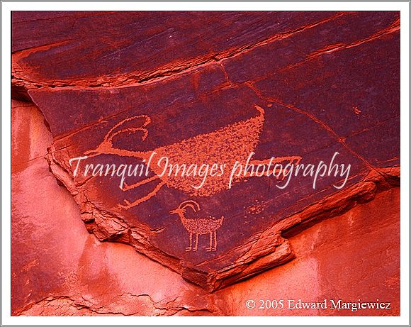 450291---Ancient petroglyphs in Monument Valley.  View 1